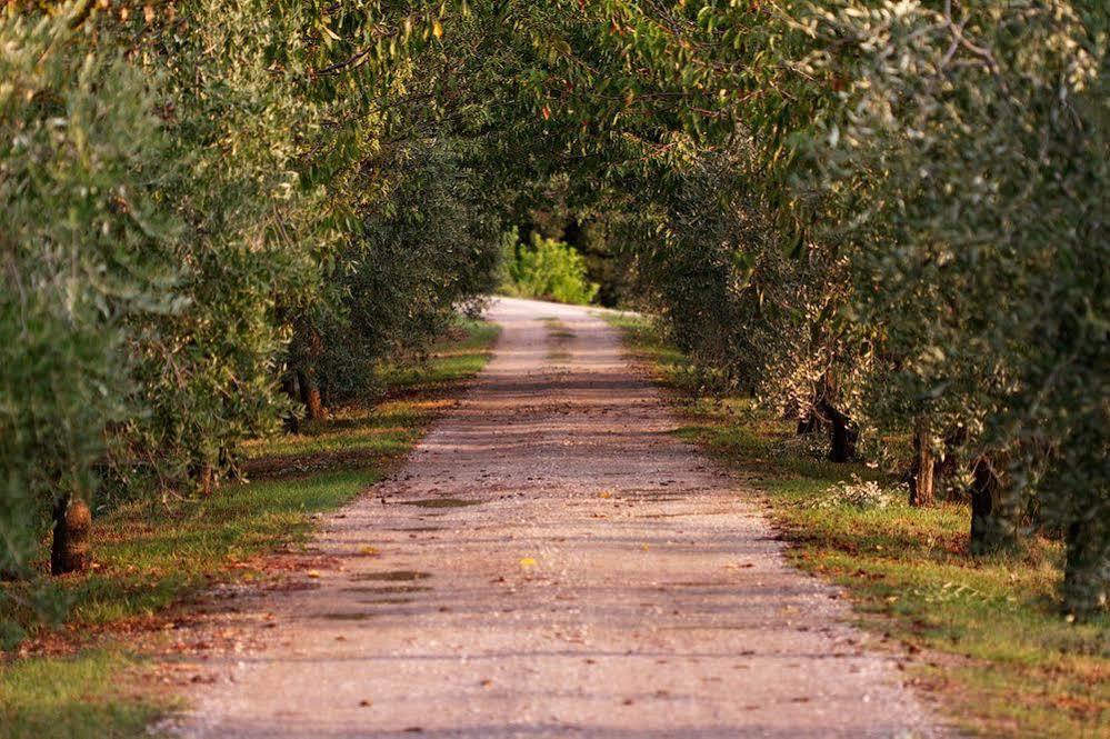 Agriturismo Casagrande Montepulciano Stazione 외부 사진